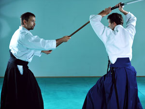 Budo Schwert Stock Kamae - Budo Aikiken Berlin
