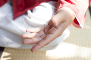 Meditation Hand Mudra