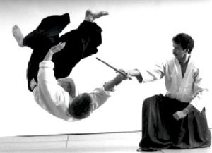 Aikido Wurf Kokyo-Nage mit Schwert mit Peter Spangfort. Foto: Binge Eliasson