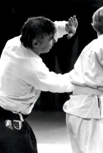 Aikido Training mit Hans Gauffin. Foto: Magnus Hartmann.