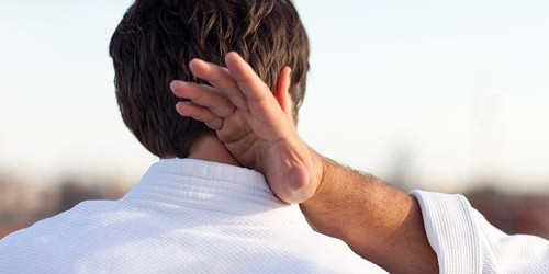 Kyusho Shuto Gallenblase 20 - Studiengruppe in Berlin