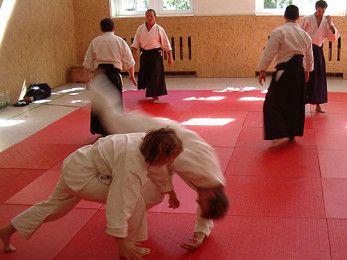 Kokyu-Nage. Aikido Seminar Berlin Takemori Sensei 2006