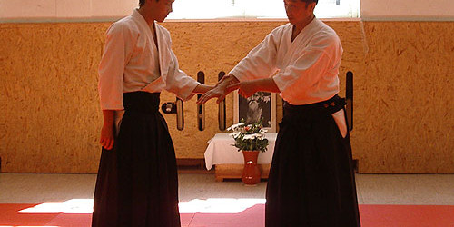Gyakuhanmi Katatedori. Aikido Seminar Berlin Takemori Sensei 2006