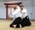 Aikido Seminar Ikkyo