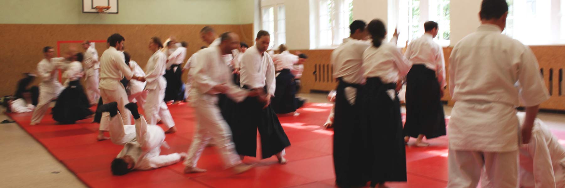 Aikido Training Einsteiger, Anfänger, Fortgeschrittene Berlin