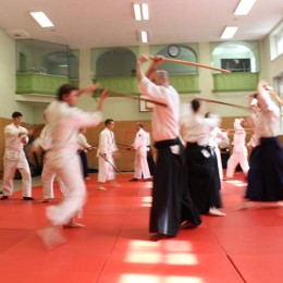 Schwert Aiki-Ken Seminar April 2015
