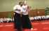 Kokyuho Stefan und Konstantin beim Aikido Seminar in Berlin, April 2015