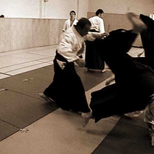 Aikido Wurf - Vorführung Berlin 2003