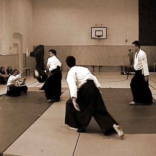 Aikido Randori - Vorführung Berlin 2003