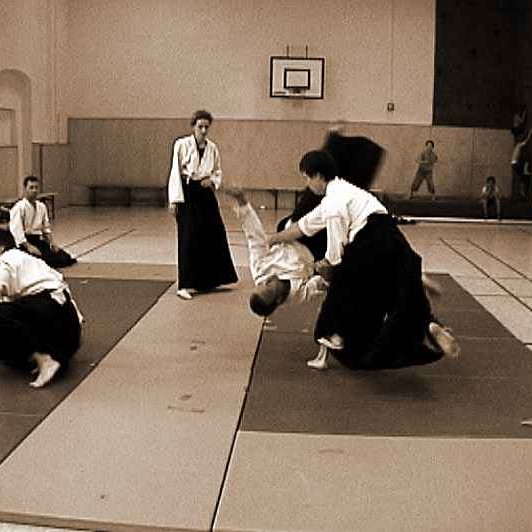 Aikido Randori - Vorführung Berlin 2003