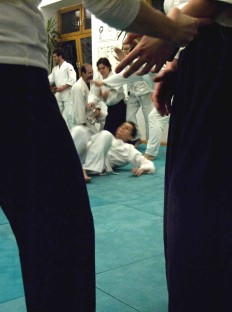 Aikido Berlin Training bei Tanden 2009