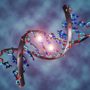 DNA methylation