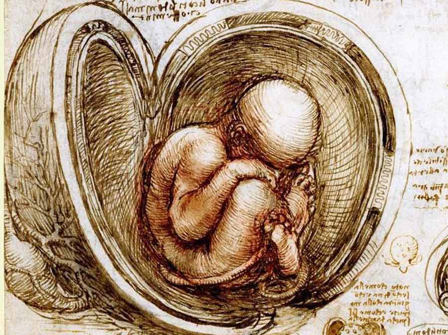 Fötus im Mutterleib, Leonardo da Vinci (1511)
