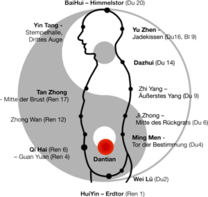 Es werden die wichtigsten Akupunkturpunkte und Energiezentren des Kleinen Himmlischen Kreislaufs dargestellt. Diese liegen entlang der Dumai und Renmai Gefäße.
