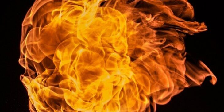 Feuerblume Feuerblume