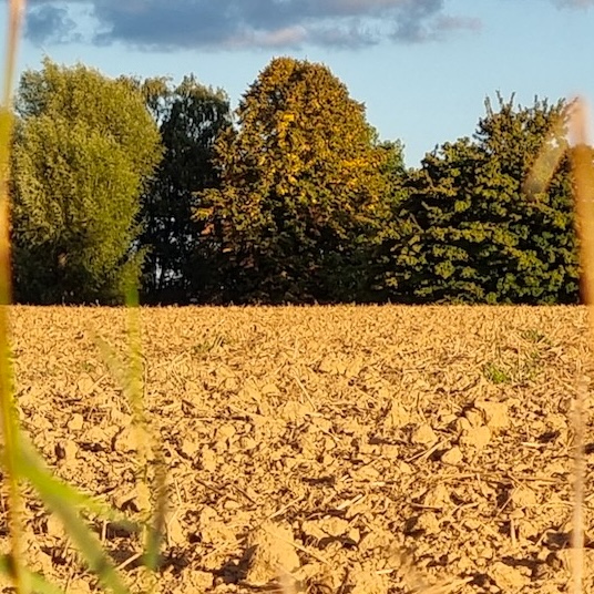 Erde, Feld, Boden, Grund - Erd-Element, Wandlungsphase